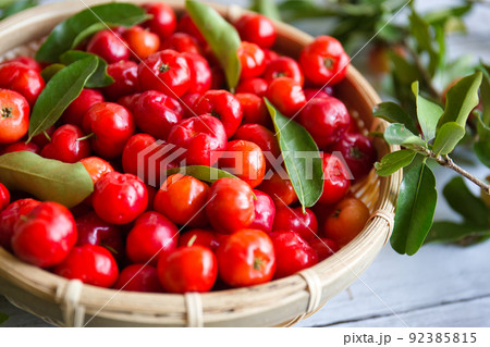 アセロラ 92385815