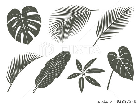 観葉植物　葉っぱ　葉　アイコン　イラストセット 92387549