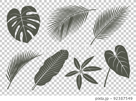 観葉植物 葉っぱ 葉 アイコン イラストセットのイラスト素材