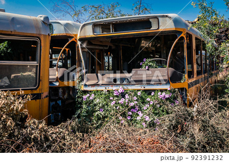Rusted and Crushed Buses on the Tank Graveyard in Asmara, Eritrea 92391232