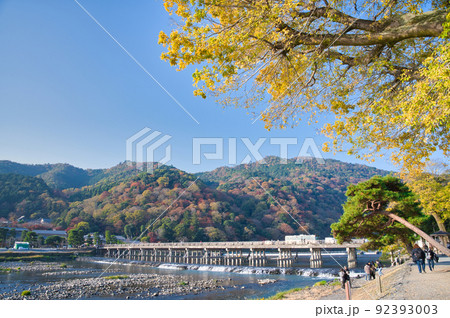 【京都府】11月・さわやかな青空の下、紅葉時期の嵐山を観光 92393003
