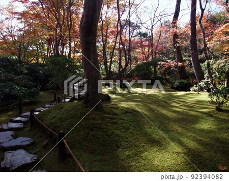京都　大河内山荘の紅葉 92394082