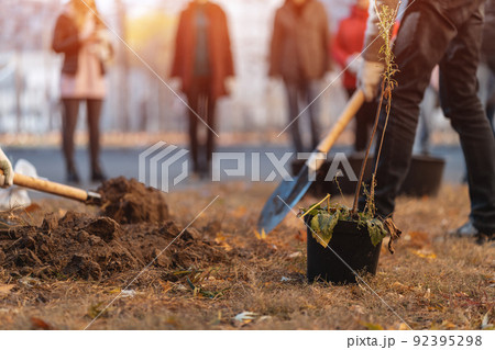 planting new trees with gardening tools or man hand with shovel digging ground planting new trees with gardening tools or man hand with shovel digging ground 92395298