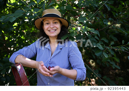 Portrait of a female farmer in a straw hat, smiles looking at camera and holding a handful of ripe harvested cherries Portrait of a female farmer in a straw hat, smiles looking at camera and holding a handful of ripe harvested cherries 92395443