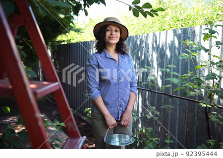 Middle aged woman farmer with a metal bucket standing near a ladder, harvesting ripe cherries in organic cherry orchard. Middle aged woman farmer with a metal bucket standing near a ladder, harvesting ripe cherries in organic cherry orchard. 92395444