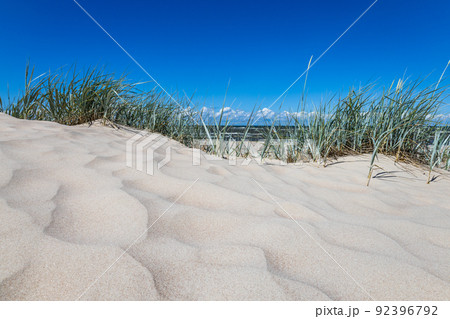 Baltic sea landscape with sandy beach and dunes with grass 92396792
