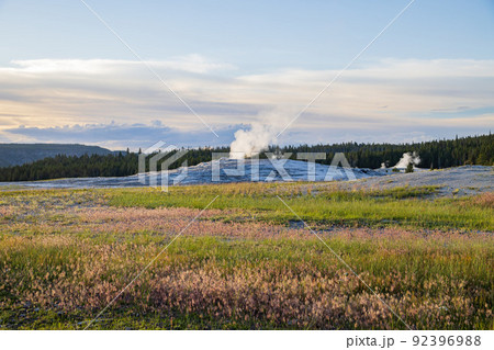 Sunset view of the Old Faithful geyser Sunset view of the Old Faithful geyser 92396988