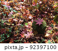 秋の遊歩道　色とりどりの紅葉のじゅうたん 92397100