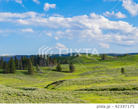 Sunny beautiful landscape in Yellowstone National Park 92397175