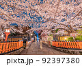 【京都府】祇園白川　巽橋の夜桜 92397380