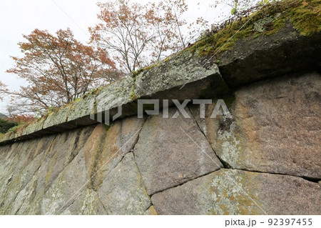 龍岡城 龍岡城 92397455