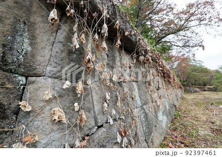 龍岡城 龍岡城 92397461