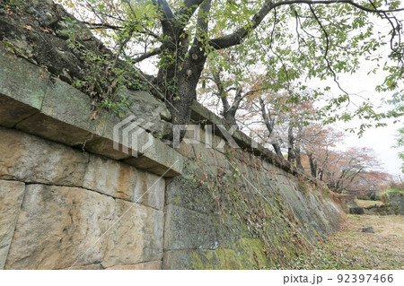 龍岡城 龍岡城 92397466