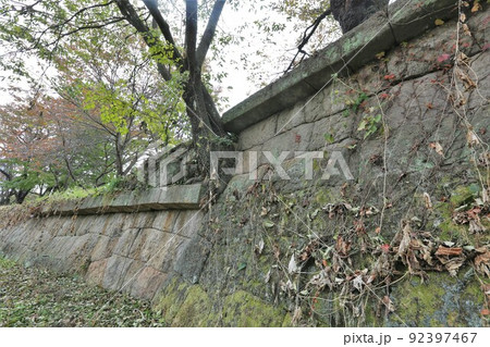 龍岡城 龍岡城 92397467