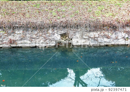 龍岡城 龍岡城 92397471