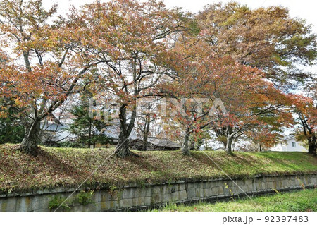 龍岡城 龍岡城 92397483