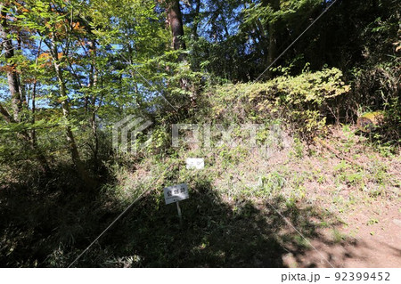 要害山城 要害山城 92399452