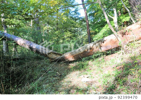 要害山城 要害山城 92399470