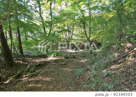 要害山城 要害山城 92399503