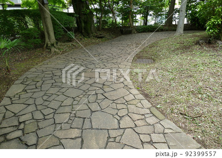 東京都町田市南成瀬 町田市立堂之坂公苑 入園無料 林内散策路 横浜線成瀬駅 令和4年6月 東京都町田市南成瀬 町田市立堂之坂公苑 入園無料 林内散策路 横浜線成瀬駅 令和4年6月 92399557