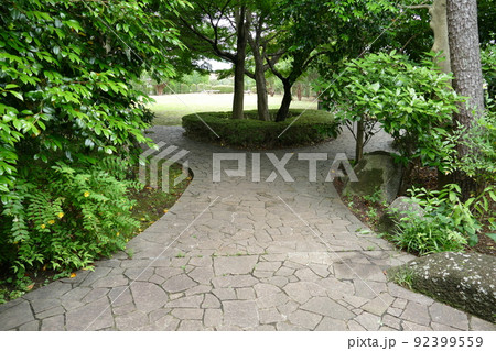 東京都町田市南成瀬　町田市立堂之坂公苑　入園無料  林内散策路　横浜線成瀬駅　令和4年6月 92399559