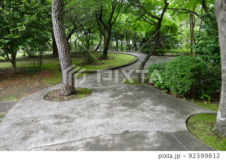東京都町田市南成瀬 町田市立堂之坂公苑 入園無料 林内散策路 横浜線成瀬駅 令和4年6月 東京都町田市南成瀬 町田市立堂之坂公苑 入園無料 林内散策路 横浜線成瀬駅 令和4年6月 92399612