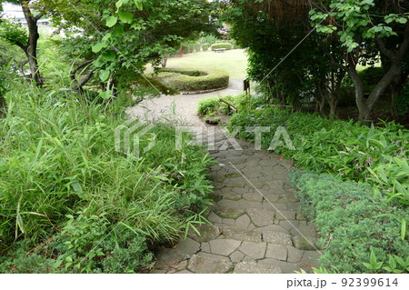 東京都町田市南成瀬　町田市立堂之坂公苑　入園無料  林内散策路　横浜線成瀬駅　令和4年6月 92399614