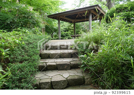 東京都町田市南成瀬 町田市立堂之坂公苑 入園無料 林内散策路 横浜線成瀬駅 令和4年6月 東京都町田市南成瀬 町田市立堂之坂公苑 入園無料 林内散策路 横浜線成瀬駅 令和4年6月 92399615