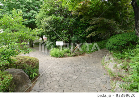 東京都町田市南成瀬　町田市立堂之坂公苑　入園無料  林内散策路　横浜線成瀬駅　令和4年6月 92399620