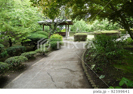 東京都町田市南成瀬　町田市立堂之坂公苑　入園無料  林内散策路　横浜線成瀬駅　令和4年6月 92399641