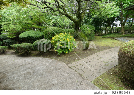 東京都町田市南成瀬　町田市立堂之坂公苑　入園無料  林内散策路　横浜線成瀬駅　令和4年6月 92399643