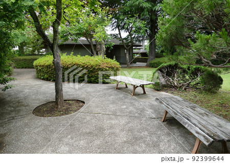 東京都町田市南成瀬 町田市立堂之坂公苑 入園無料 林内散策路 横浜線成瀬駅 令和4年6月 東京都町田市南成瀬 町田市立堂之坂公苑 入園無料 林内散策路 横浜線成瀬駅 令和4年6月 92399644