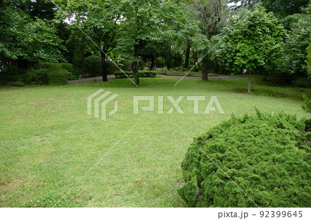 東京都町田市南成瀬　町田市立堂之坂公苑　入園無料  林内散策路　横浜線成瀬駅　令和4年6月 92399645