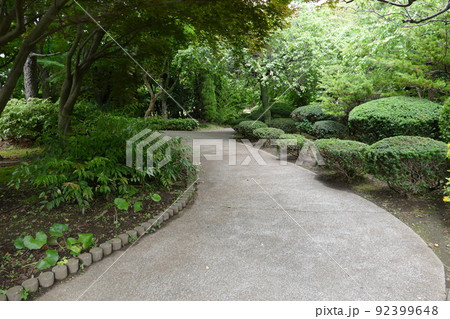 東京都町田市南成瀬 町田市立堂之坂公苑 入園無料 林内散策路 横浜線成瀬駅 令和4年6月 東京都町田市南成瀬 町田市立堂之坂公苑 入園無料 林内散策路 横浜線成瀬駅 令和4年6月 92399648