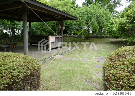 東京都町田市南成瀬 町田市立堂之坂公苑 入園無料 林内散策路 横浜線成瀬駅 令和4年6月 東京都町田市南成瀬 町田市立堂之坂公苑 入園無料 林内散策路 横浜線成瀬駅 令和4年6月 92399649