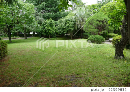 東京都町田市南成瀬 町田市立堂之坂公苑 入園無料 林内散策路 横浜線成瀬駅 令和4年6月 東京都町田市南成瀬 町田市立堂之坂公苑 入園無料 林内散策路 横浜線成瀬駅 令和4年6月 92399652