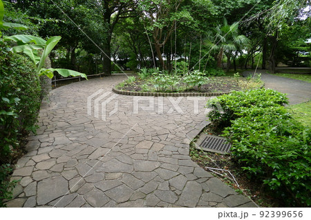 東京都町田市南成瀬　町田市立堂之坂公苑　入園無料  林内散策路　横浜線成瀬駅　令和4年6月 92399656