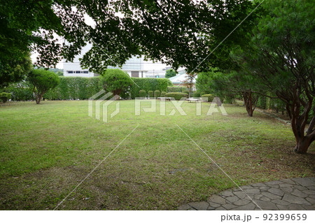 東京都町田市南成瀬　町田市立堂之坂公苑　入園無料  林内散策路　横浜線成瀬駅　令和4年6月 92399659