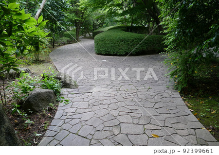 東京都町田市南成瀬　町田市立堂之坂公苑　入園無料  林内散策路　横浜線成瀬駅　令和4年6月 92399661