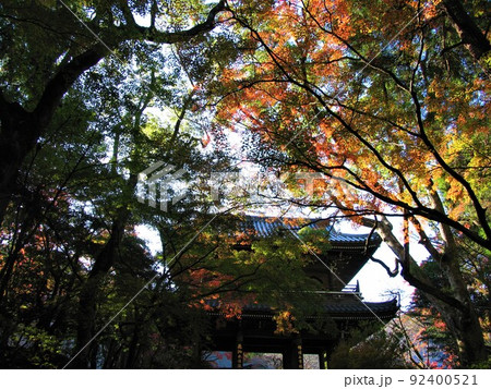 功山寺の紅葉 92400521
