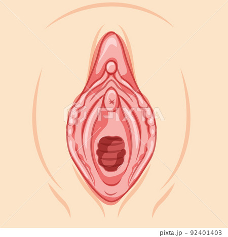 Hymenoplasty before reproductive system uterus. Front view Hymen repair restoration revirginization. Human Surface Hymenoplasty before reproductive system uterus. Front view Hymen repair restoration revirginization. Human Surface 92401403