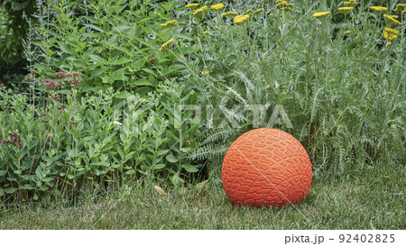 slam ball in a backyard slam ball in a backyard 92402825