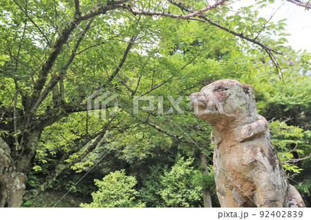 城山稲荷神社 城山稲荷神社 92402839
