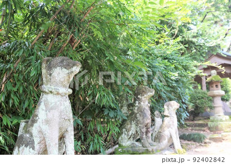 城山稲荷神社 城山稲荷神社 92402842