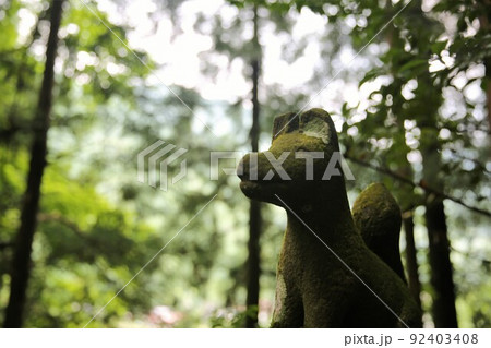 金持神社 92403408