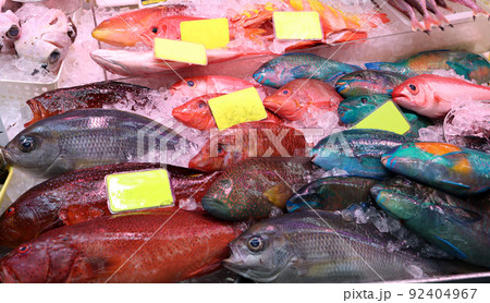 店先に新鮮な魚が並ぶ市場 92404967