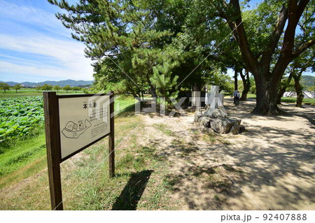 備中高松城の曲輪と遺跡　高松城址公園 92407888