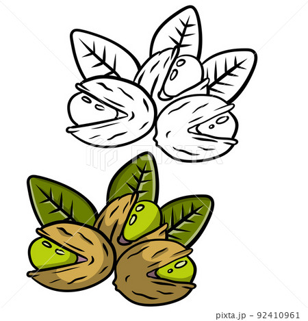 Pistachios. Green nuts in their shells 92410961