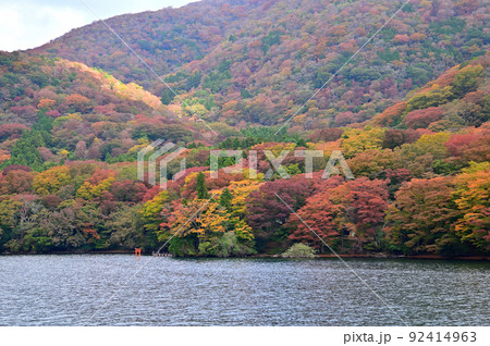 箱根芦ノ湖の紅葉 92414963