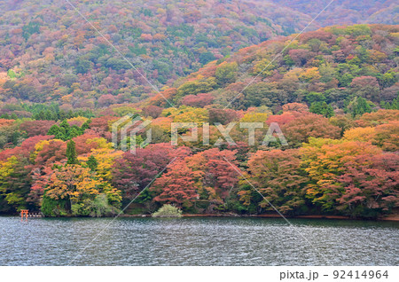 箱根芦ノ湖の紅葉 92414964